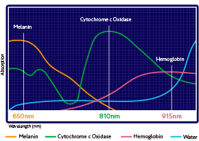 3WAVELENGTHS グラフ